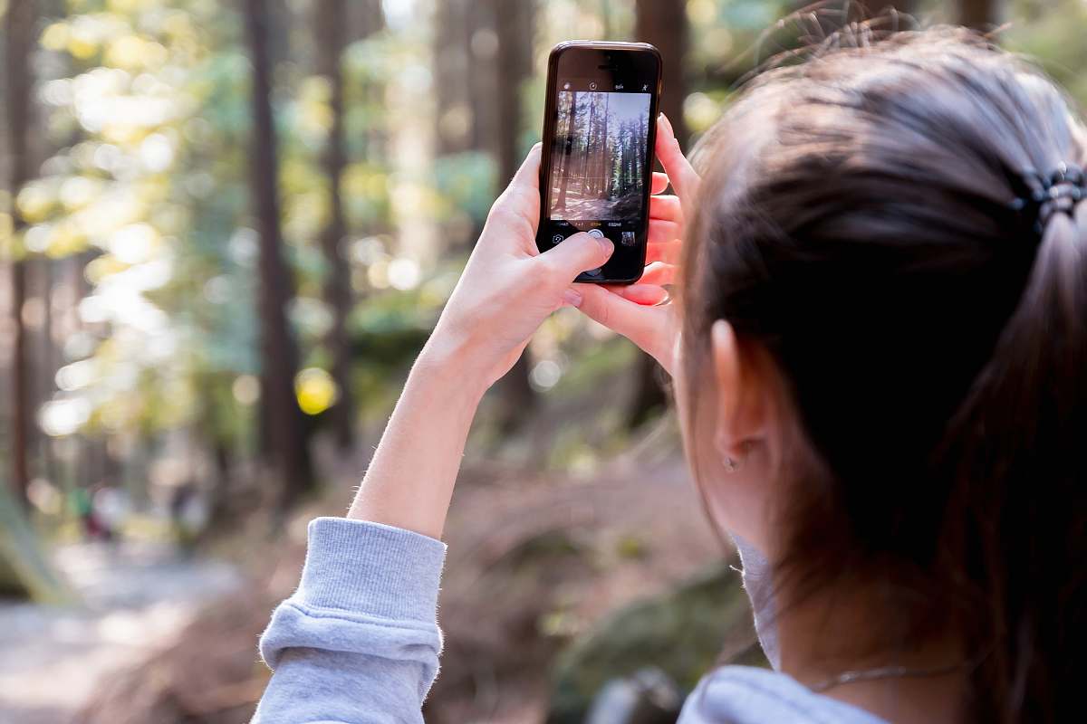 mobile phone person taking photo of trees cell phone